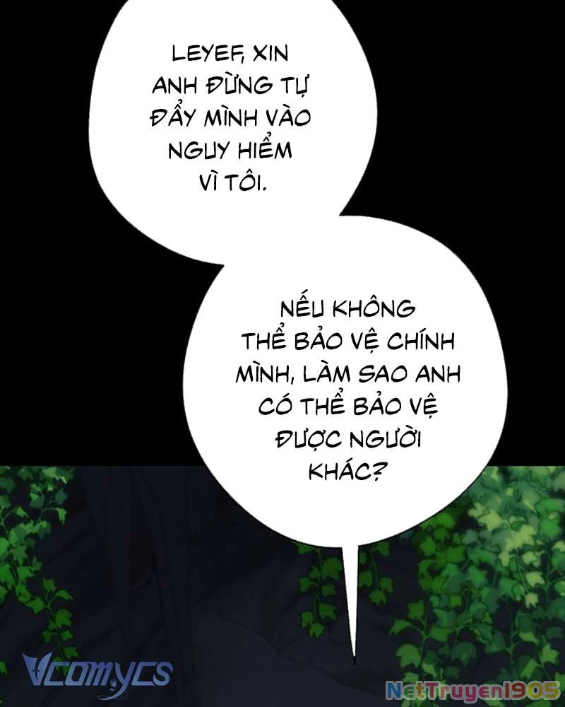 Các Nam Chính Đã Bị Nữ Phụ Cướp Mất Chapter 51 - Trang 2