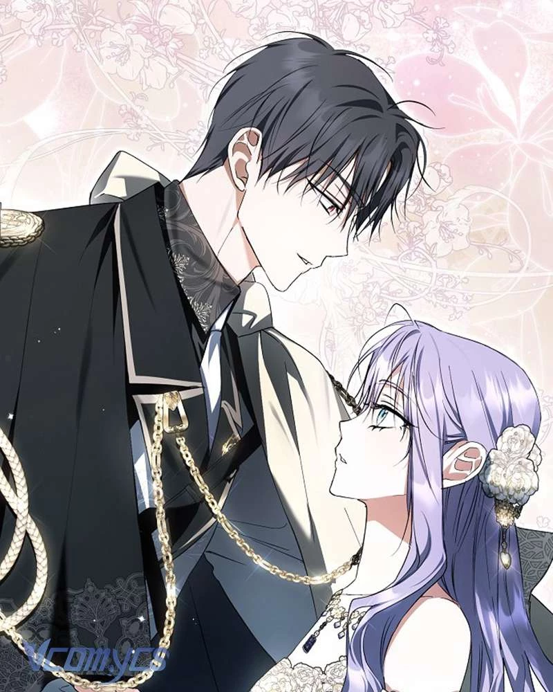 Các Nam Chính Đã Bị Nữ Phụ Cướp Mất Chapter 52 - Trang 2