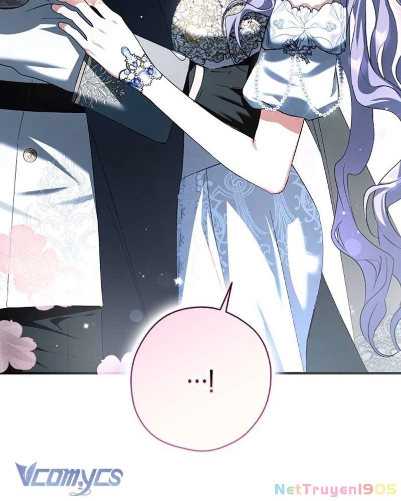 Các Nam Chính Đã Bị Nữ Phụ Cướp Mất Chapter 52 - Trang 2