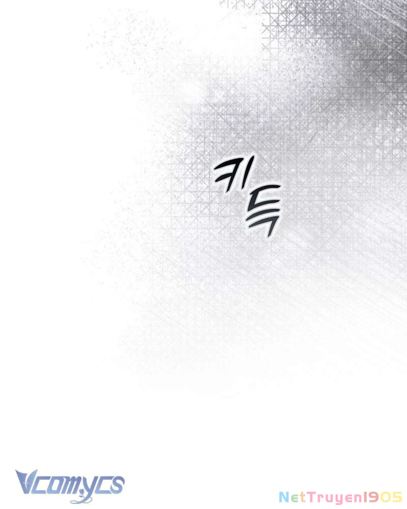 Các Nam Chính Đã Bị Nữ Phụ Cướp Mất Chapter 52 - Trang 2