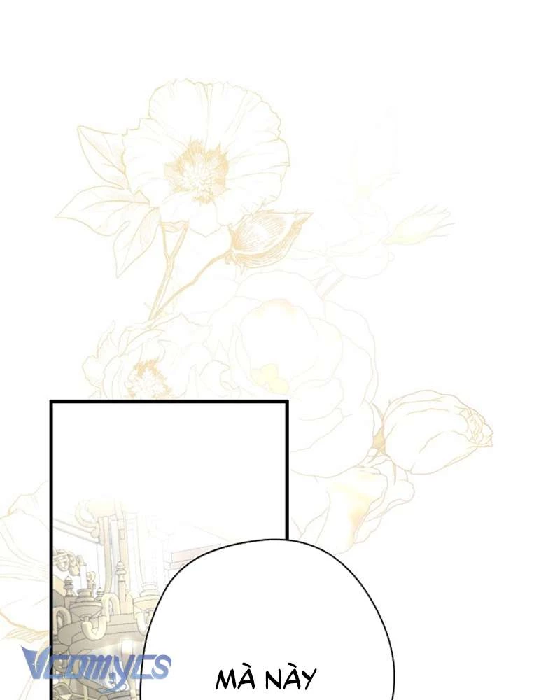 Các Nam Chính Đã Bị Nữ Phụ Cướp Mất Chapter 52 - Trang 2