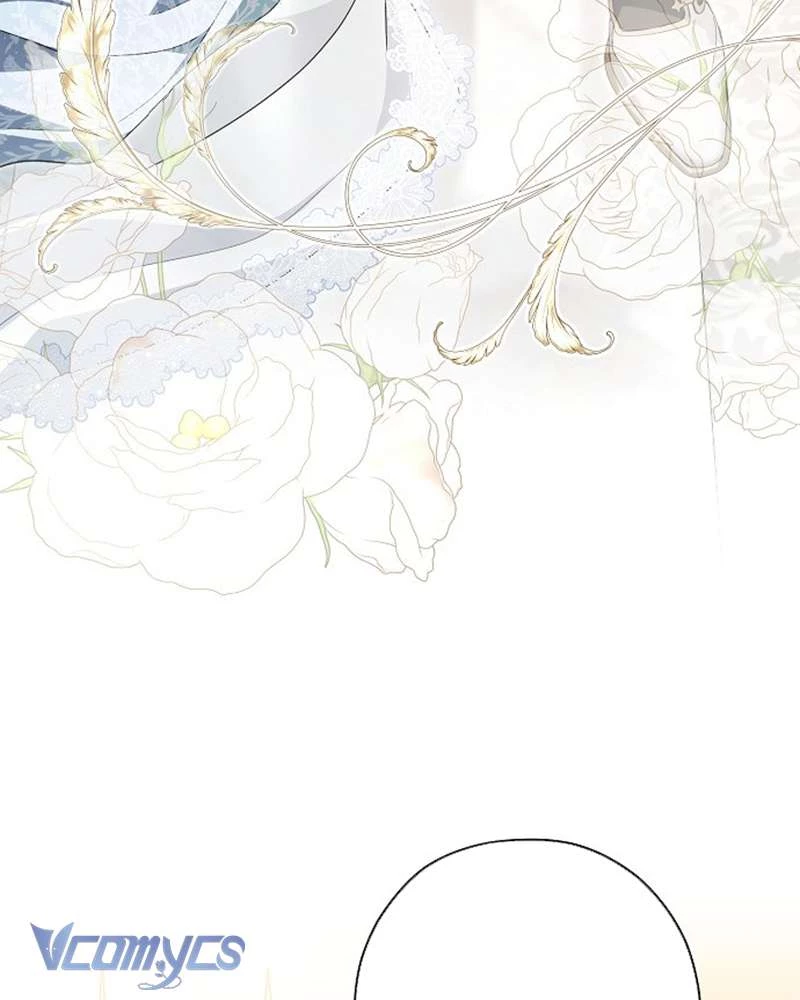 Các Nam Chính Đã Bị Nữ Phụ Cướp Mất Chapter 52 - Trang 2