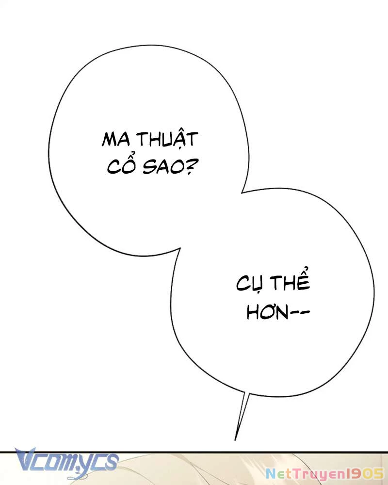 Các Nam Chính Đã Bị Nữ Phụ Cướp Mất Chapter 53 - Trang 2