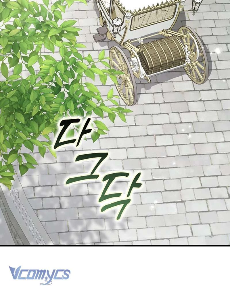 Các Nam Chính Đã Bị Nữ Phụ Cướp Mất Chapter 53 - Trang 2