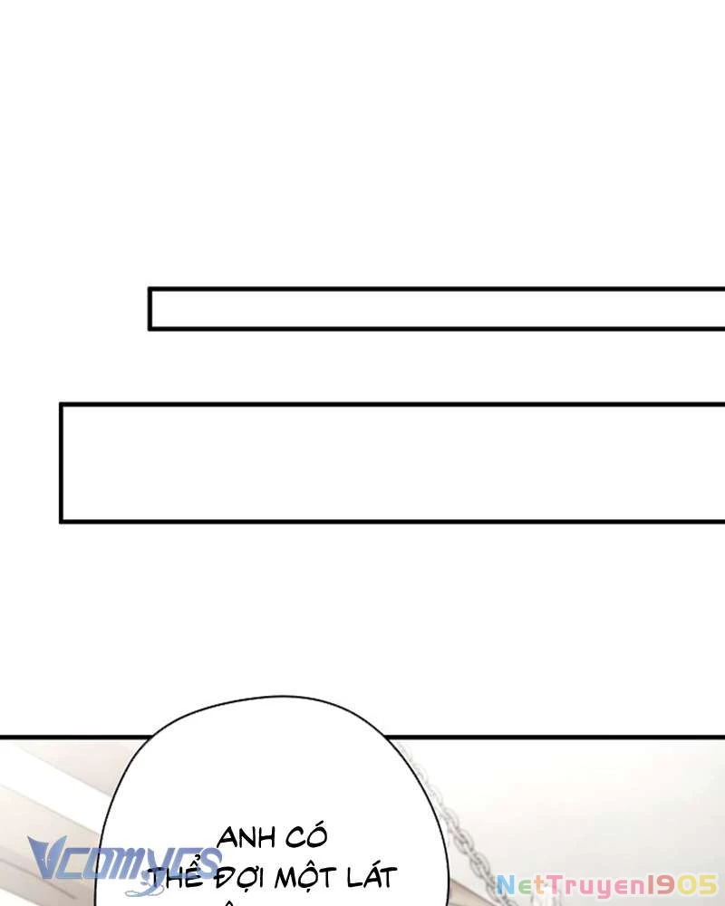 Các Nam Chính Đã Bị Nữ Phụ Cướp Mất Chapter 53 - Trang 2