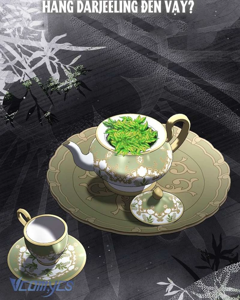 Các Nam Chính Đã Bị Nữ Phụ Cướp Mất Chapter 53 - Trang 2