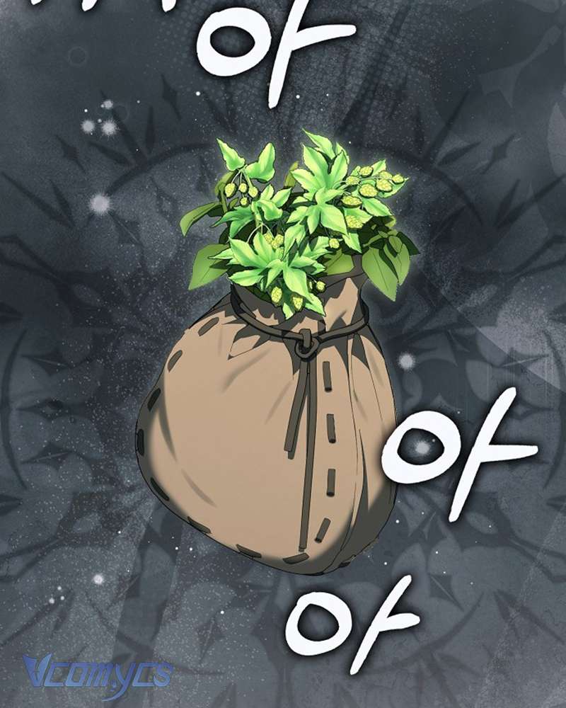 Các Nam Chính Đã Bị Nữ Phụ Cướp Mất Chapter 55 - Trang 2