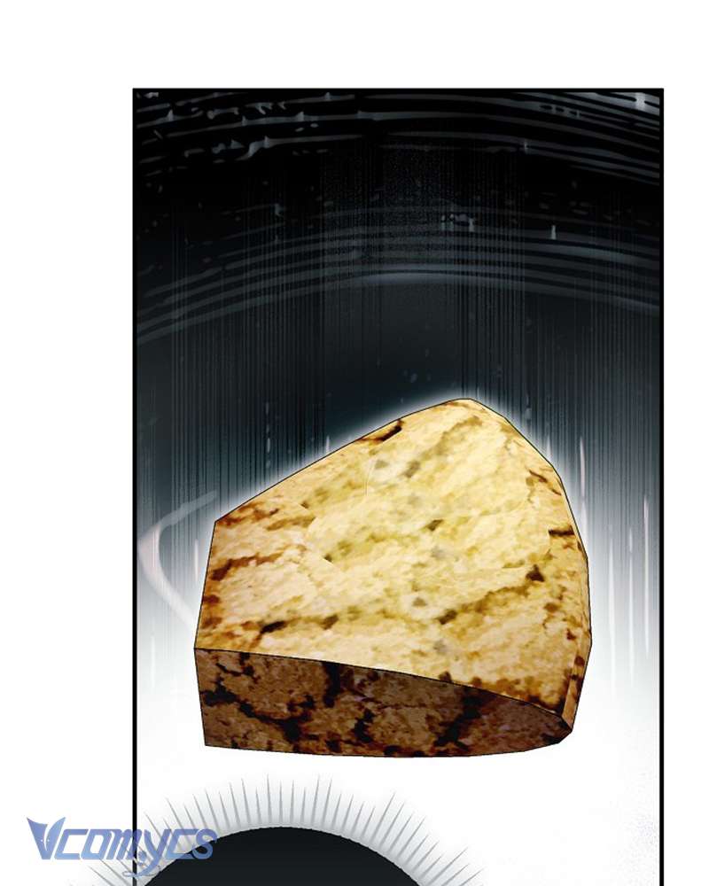 Các Nam Chính Đã Bị Nữ Phụ Cướp Mất Chapter 55 - Trang 2