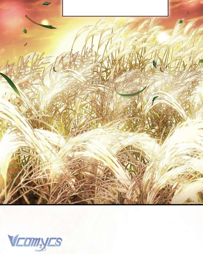 Các Nam Chính Đã Bị Nữ Phụ Cướp Mất Chapter 55 - Trang 2