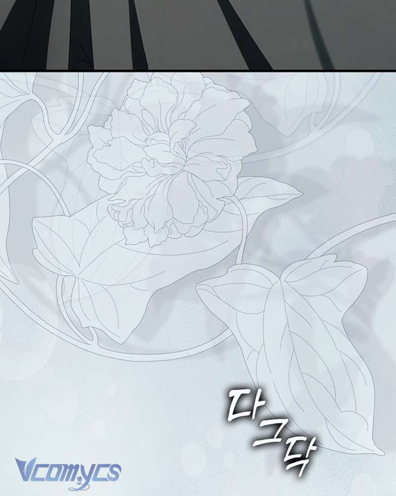 Các Nam Chính Đã Bị Nữ Phụ Cướp Mất Chapter 55 - Trang 2