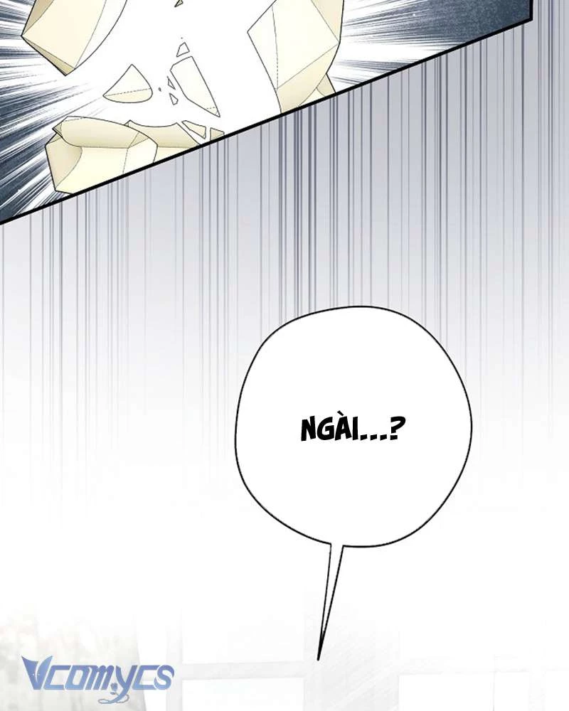 Các Nam Chính Đã Bị Nữ Phụ Cướp Mất Chapter 56 - Trang 2