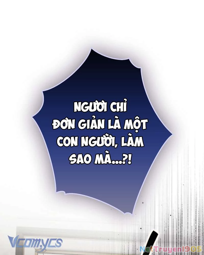 Các Nam Chính Đã Bị Nữ Phụ Cướp Mất Chapter 56 - Trang 2