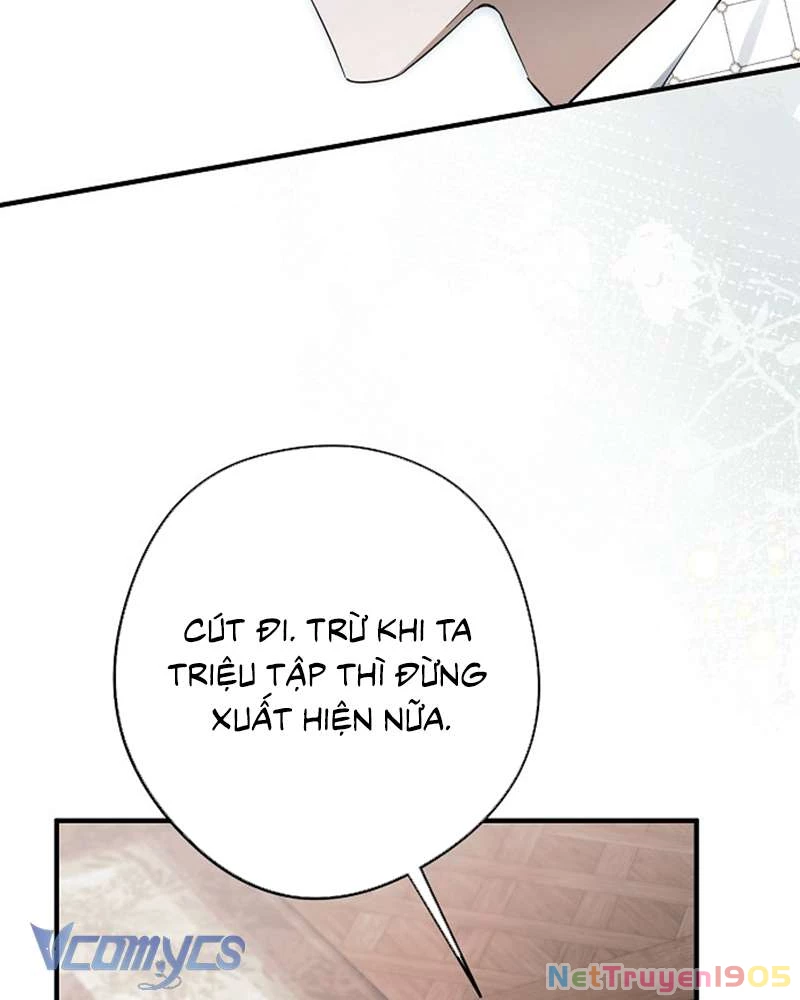 Các Nam Chính Đã Bị Nữ Phụ Cướp Mất Chapter 56 - Trang 2