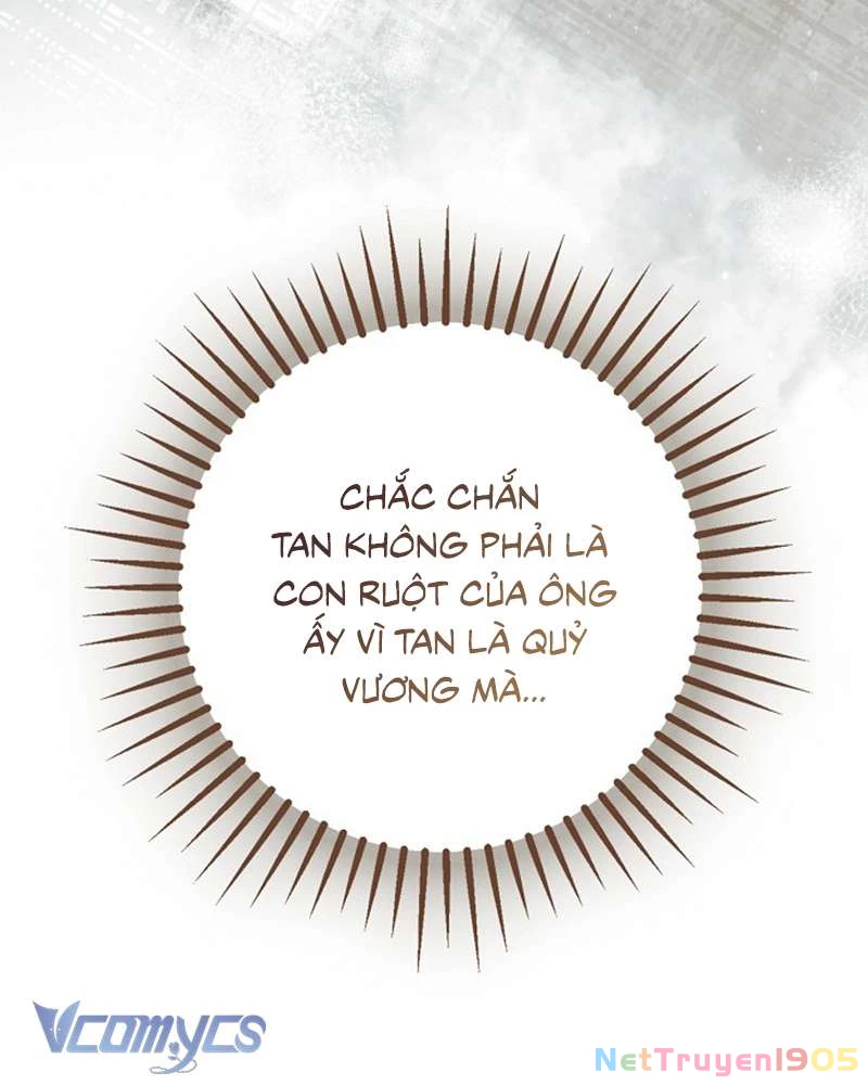 Các Nam Chính Đã Bị Nữ Phụ Cướp Mất Chapter 56 - Trang 2