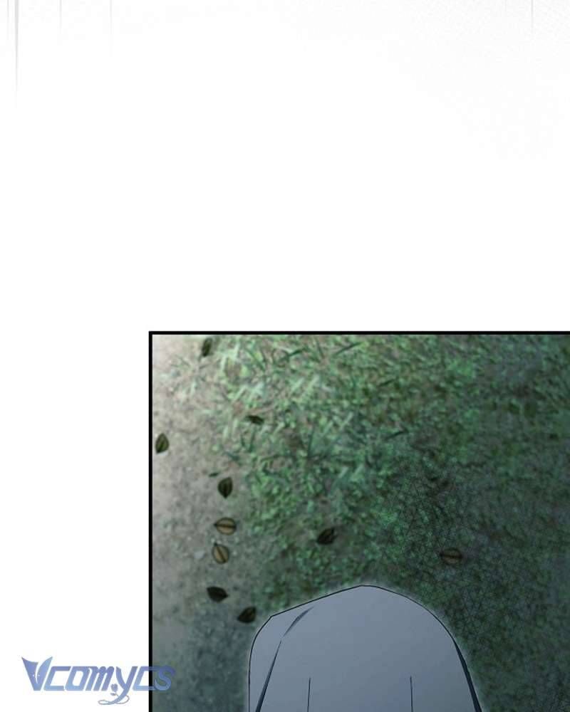 Các Nam Chính Đã Bị Nữ Phụ Cướp Mất Chapter 58 - Trang 2