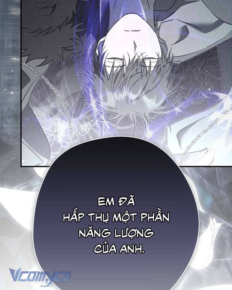 Các Nam Chính Đã Bị Nữ Phụ Cướp Mất Chapter 60 - Trang 2