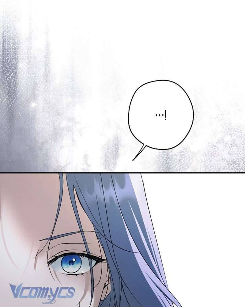 Các Nam Chính Đã Bị Nữ Phụ Cướp Mất Chapter 60 - Trang 2