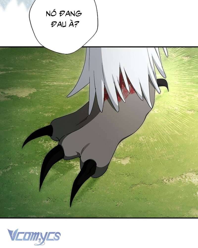 Các Nam Chính Đã Bị Nữ Phụ Cướp Mất Chapter 60 - Trang 2