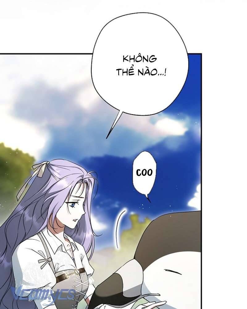 Các Nam Chính Đã Bị Nữ Phụ Cướp Mất Chapter 60 - Trang 2