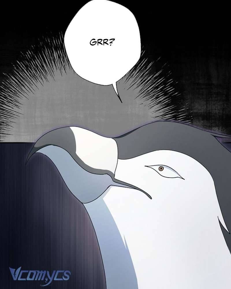 Các Nam Chính Đã Bị Nữ Phụ Cướp Mất Chapter 60 - Trang 2