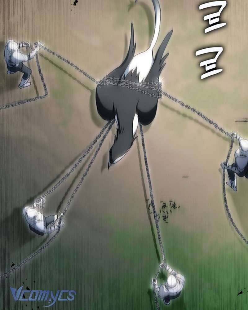 Các Nam Chính Đã Bị Nữ Phụ Cướp Mất Chapter 60 - Trang 2