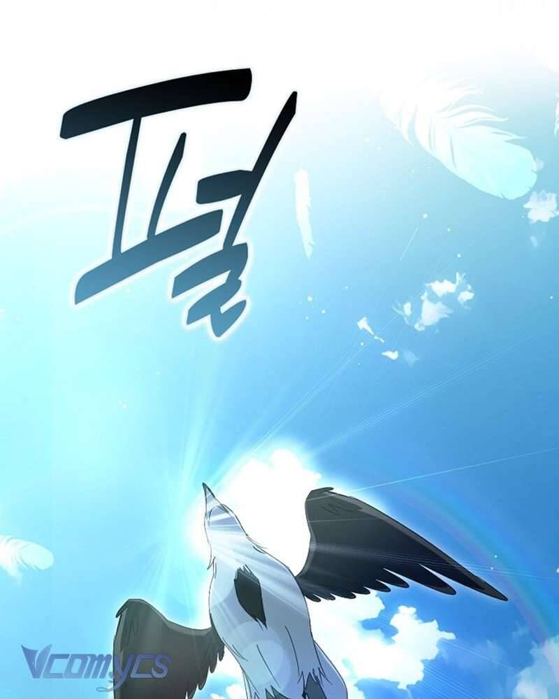 Các Nam Chính Đã Bị Nữ Phụ Cướp Mất Chapter 60 - Trang 2