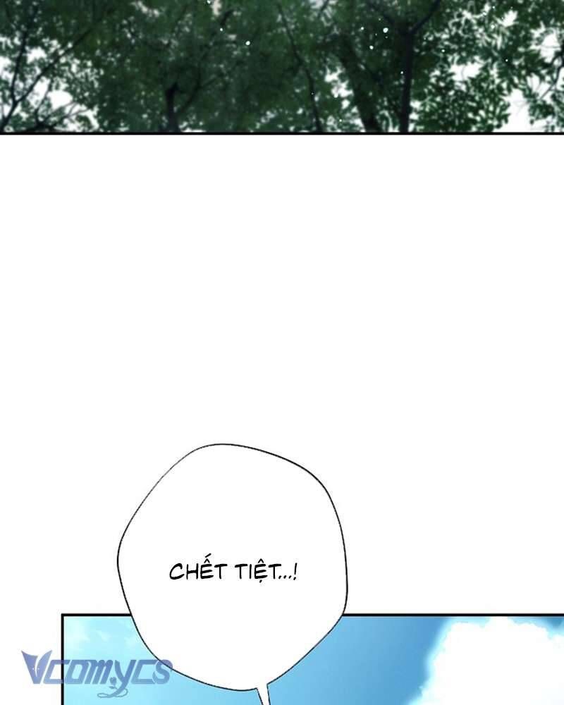 Các Nam Chính Đã Bị Nữ Phụ Cướp Mất Chapter 60 - Trang 2