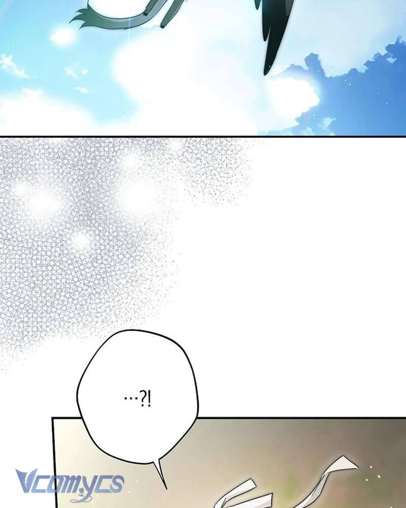 Các Nam Chính Đã Bị Nữ Phụ Cướp Mất Chapter 60 - Trang 2