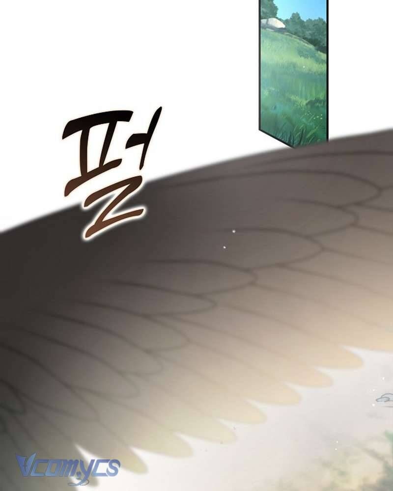 Các Nam Chính Đã Bị Nữ Phụ Cướp Mất Chapter 60 - Trang 2