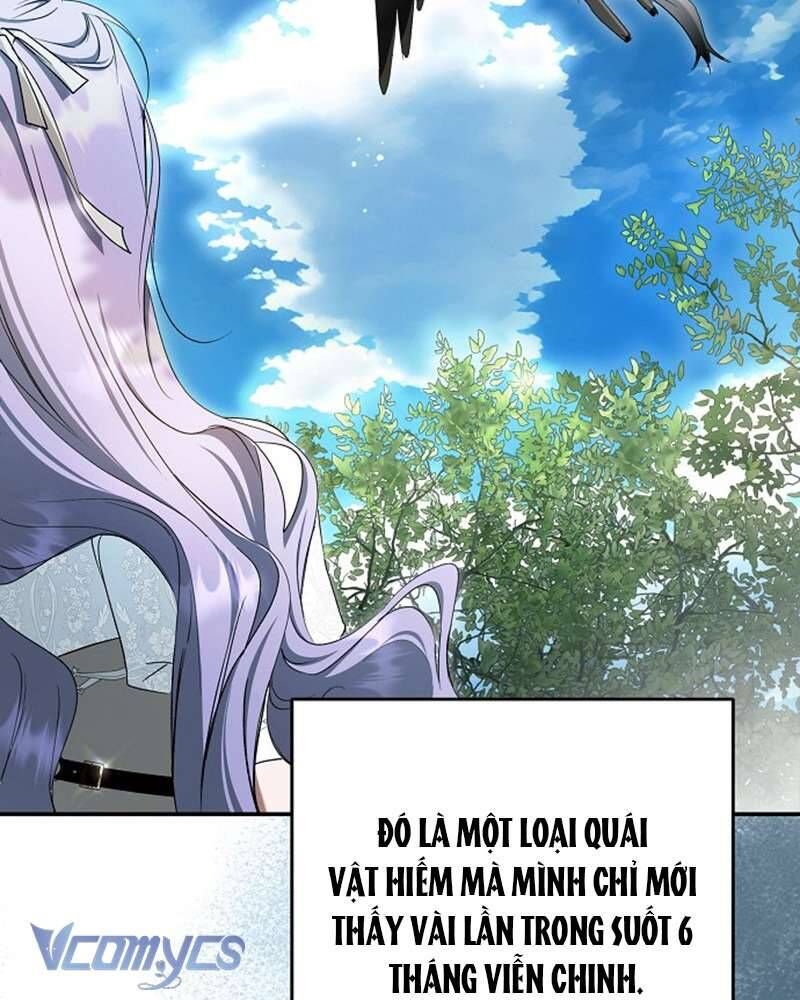 Các Nam Chính Đã Bị Nữ Phụ Cướp Mất Chapter 60 - Trang 2