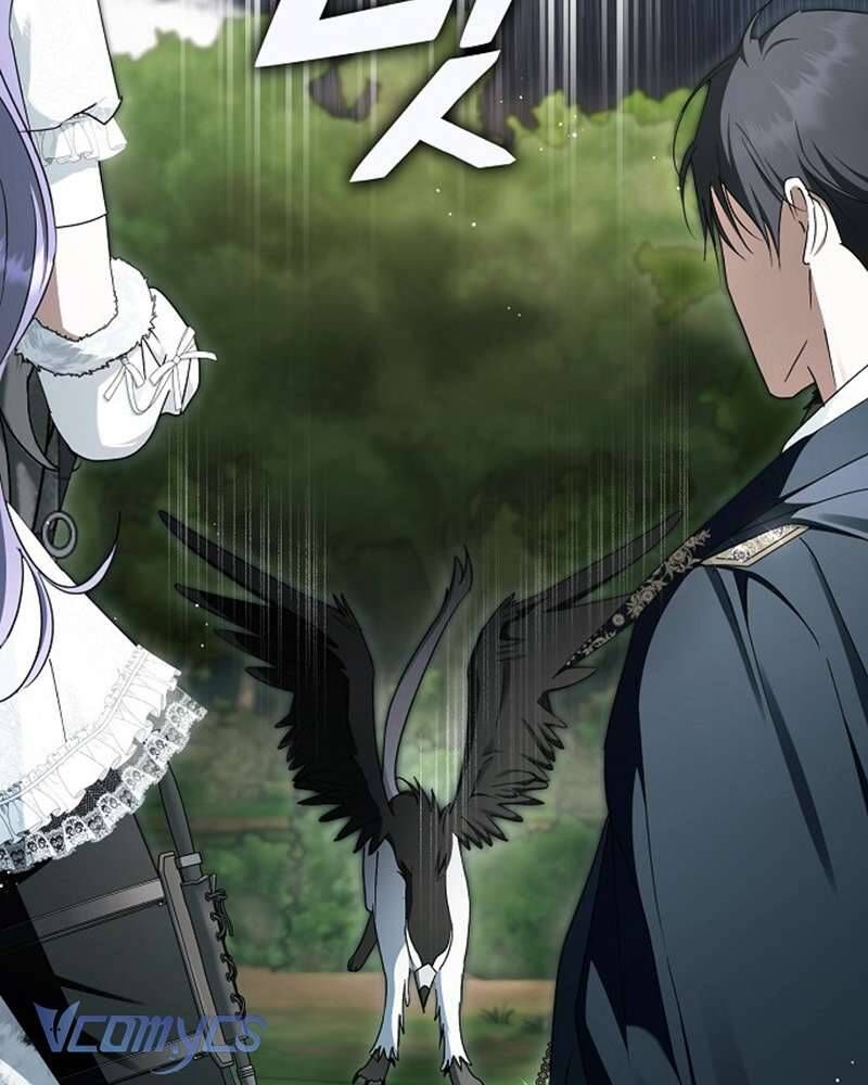 Các Nam Chính Đã Bị Nữ Phụ Cướp Mất Chapter 60 - Trang 2