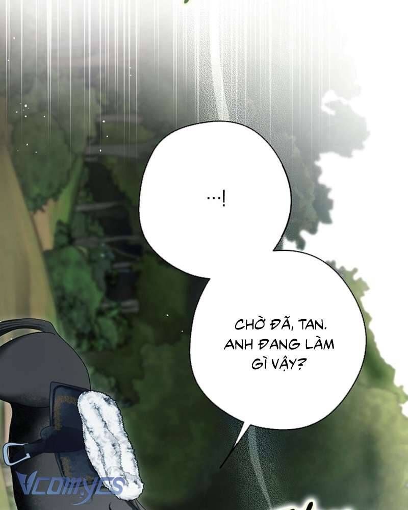 Các Nam Chính Đã Bị Nữ Phụ Cướp Mất Chapter 60 - Trang 2