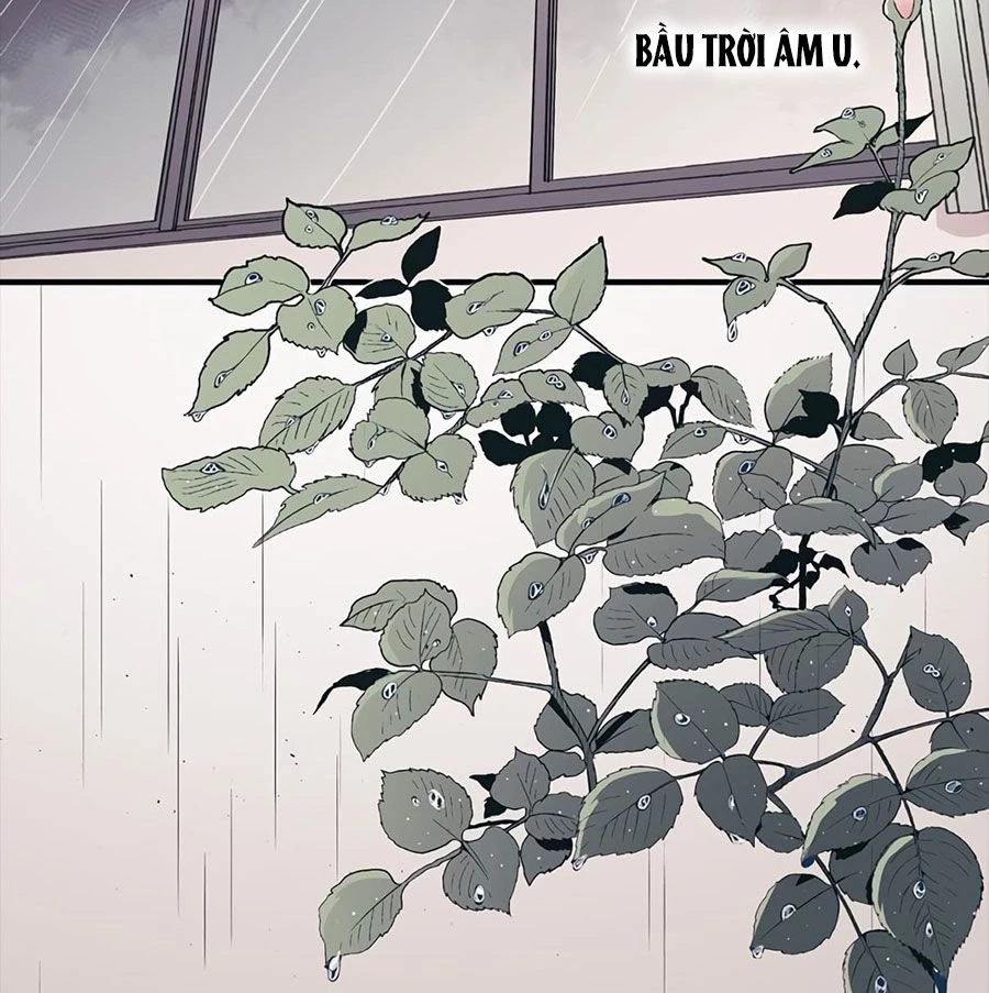 Sự Ngây Thơ Của Yeon Woo Chapter 1 - Trang 2