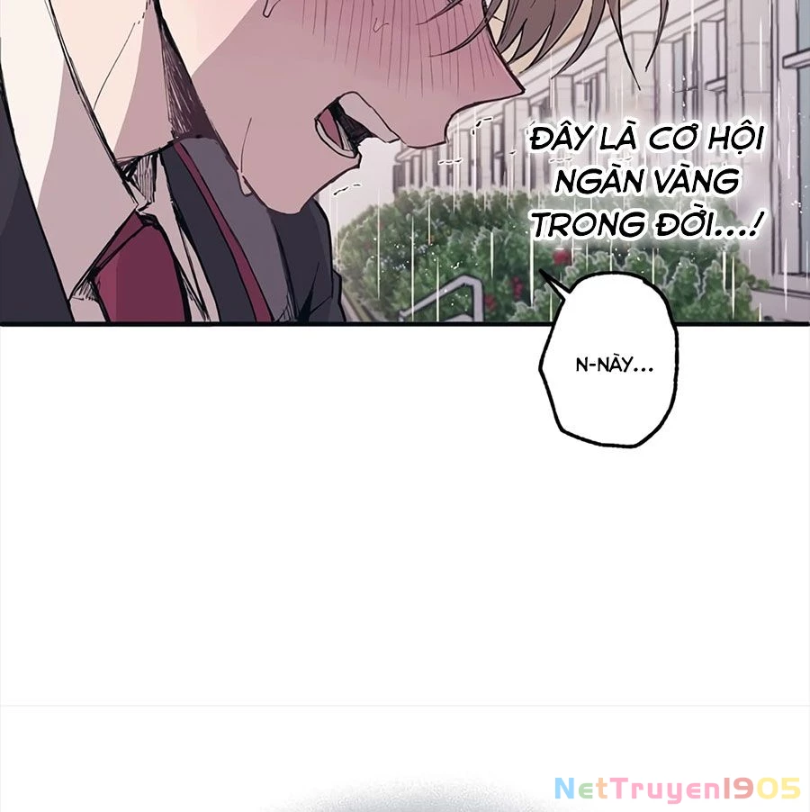 Sự Ngây Thơ Của Yeon Woo Chapter 1 - Trang 2