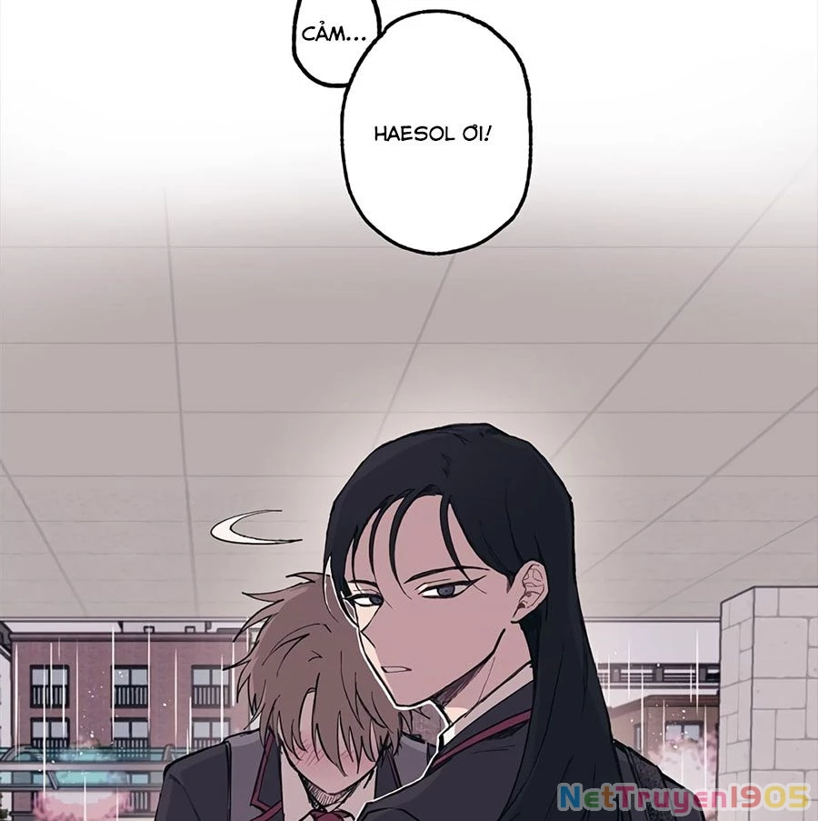 Sự Ngây Thơ Của Yeon Woo Chapter 1 - Trang 2