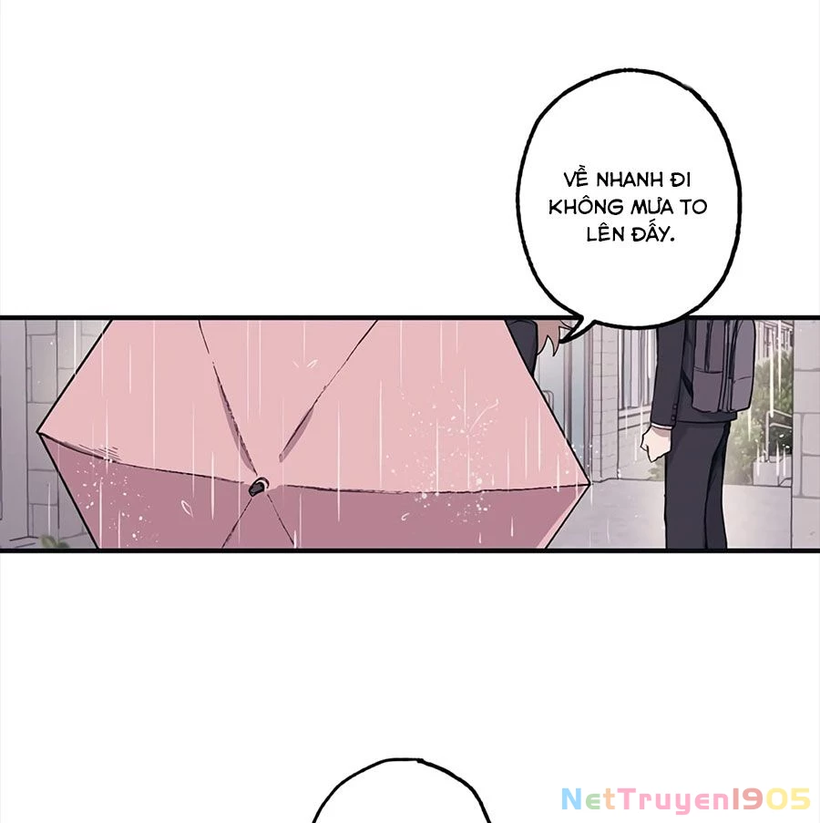 Sự Ngây Thơ Của Yeon Woo Chapter 1 - Trang 2