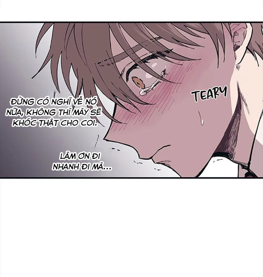 Sự Ngây Thơ Của Yeon Woo Chapter 3 - Trang 2