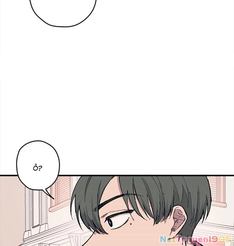 Sự Ngây Thơ Của Yeon Woo Chapter 3 - Trang 2