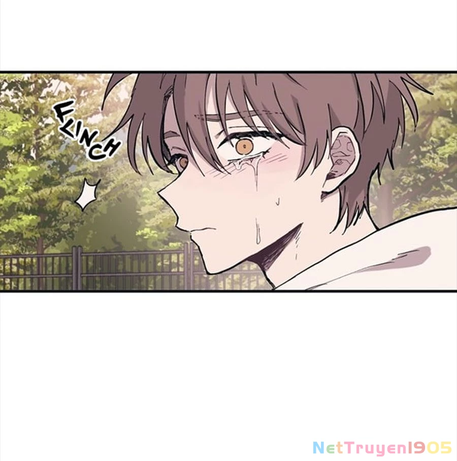 Sự Ngây Thơ Của Yeon Woo Chapter 4 - Trang 2