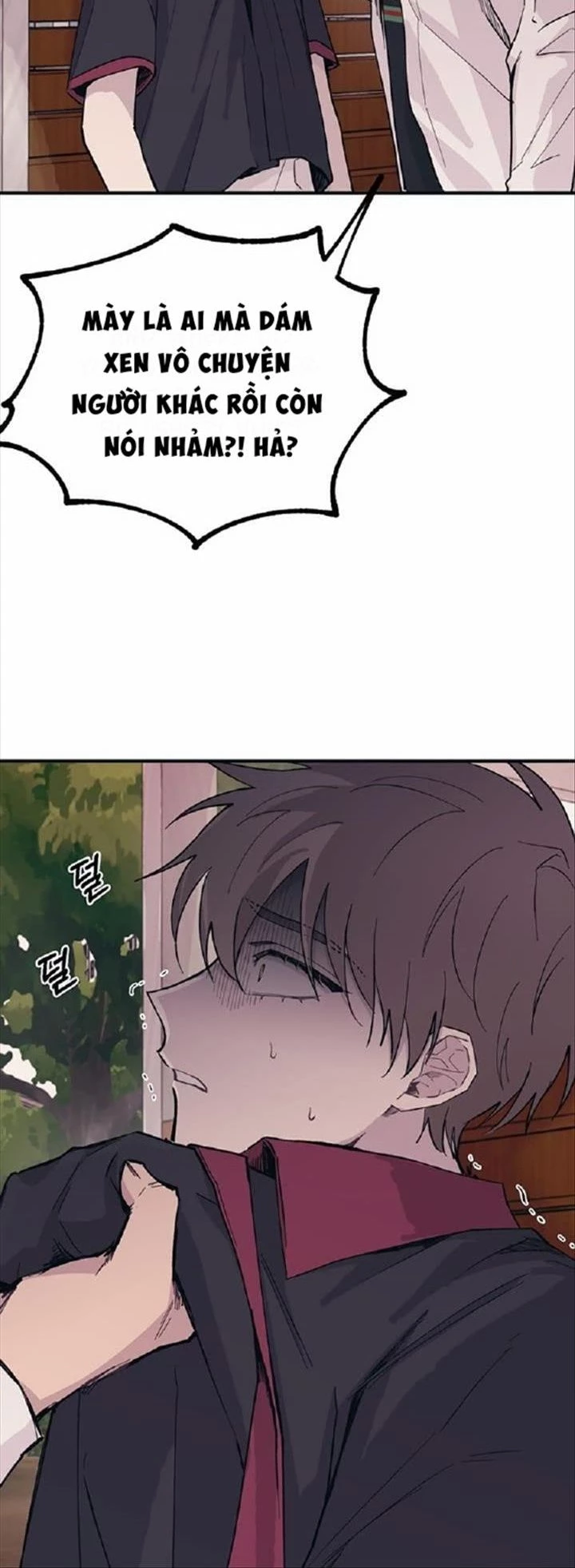 Sự Ngây Thơ Của Yeon Woo Chapter 14 - Trang 2