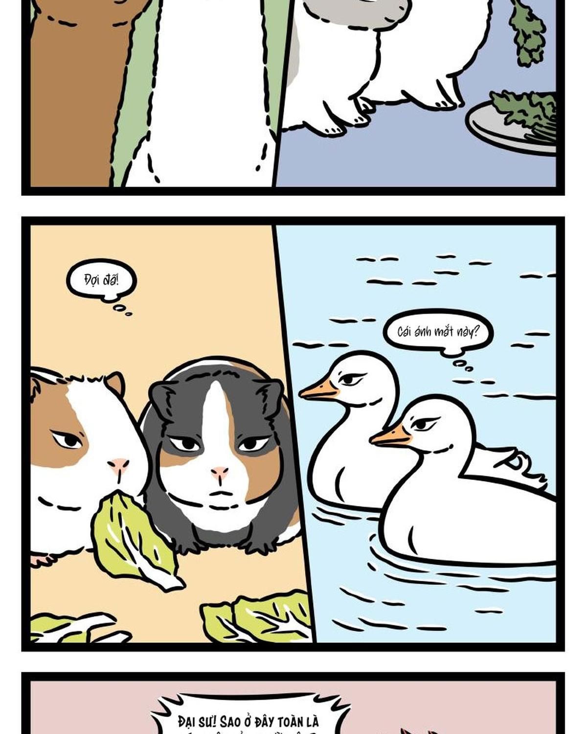 Phi Nhân Chapter 337 - Trang 2