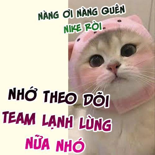 tên đàn ông này thật sự là một tên cẩu mà Chapter 28 - Trang 2