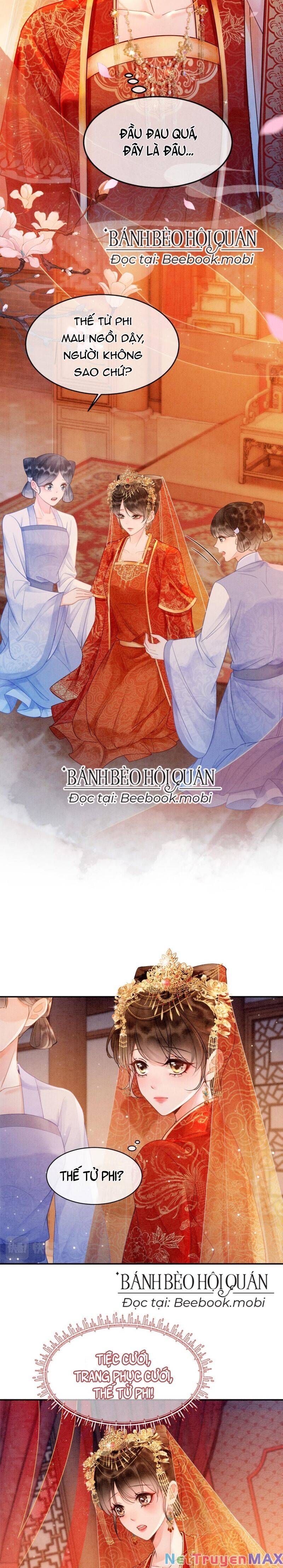 Sau Khi Nàng Bị Đánh Chết, Các Anh Trai Đều Hối Hận! Chapter 1 - Trang 2