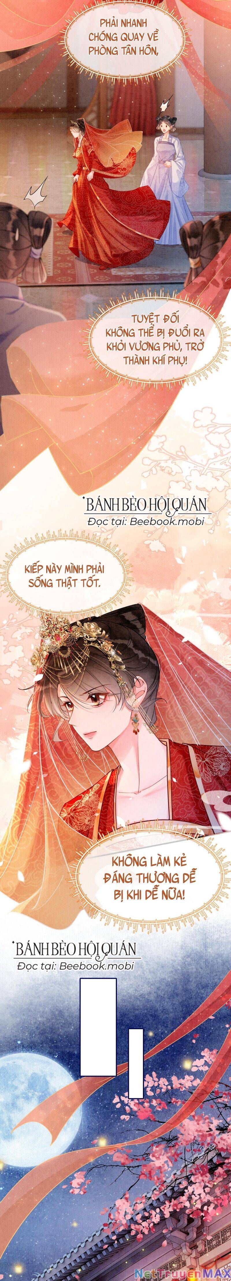 Sau Khi Nàng Bị Đánh Chết, Các Anh Trai Đều Hối Hận! Chapter 1 - Trang 2