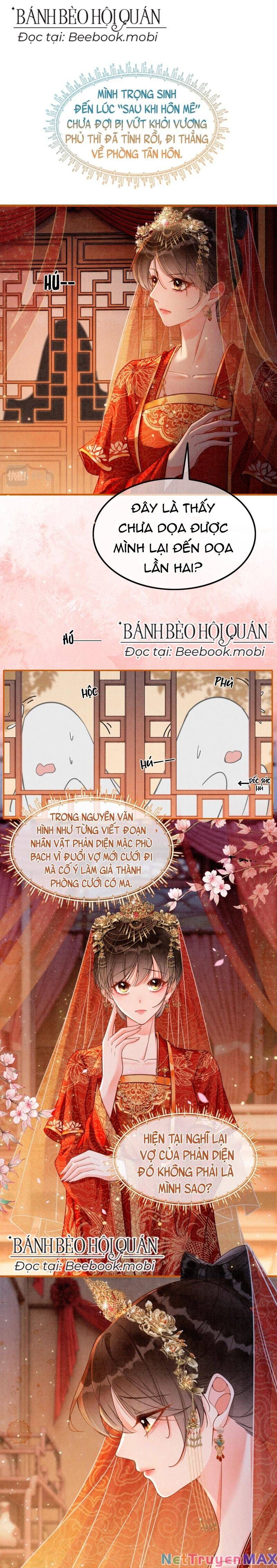 Sau Khi Nàng Bị Đánh Chết, Các Anh Trai Đều Hối Hận! Chapter 1 - Trang 2