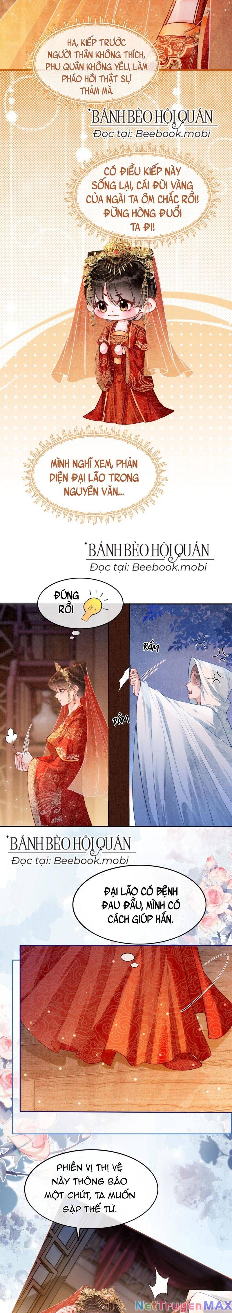 Sau Khi Nàng Bị Đánh Chết, Các Anh Trai Đều Hối Hận! Chapter 1 - Trang 2