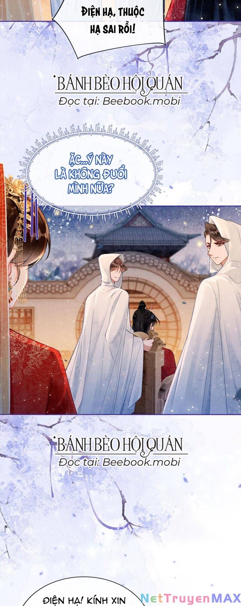 Sau Khi Nàng Bị Đánh Chết, Các Anh Trai Đều Hối Hận! Chapter 2 - Trang 2