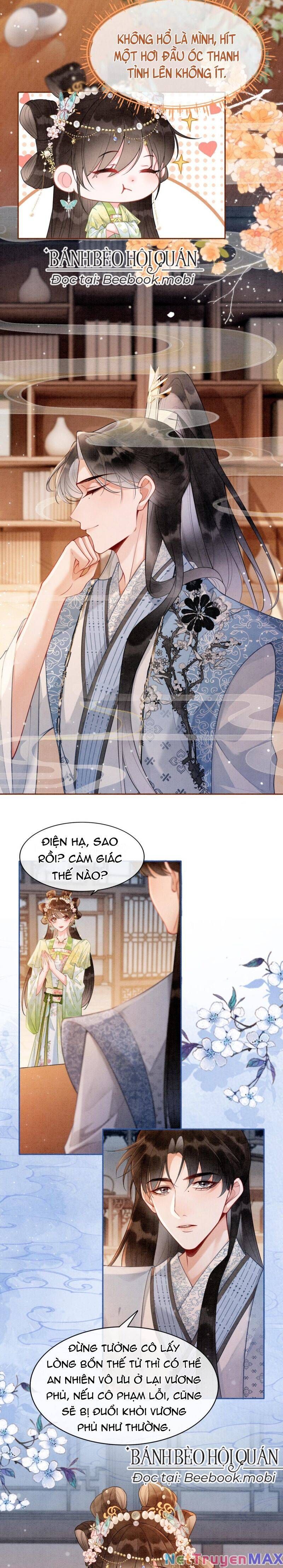 Sau Khi Nàng Bị Đánh Chết, Các Anh Trai Đều Hối Hận! Chapter 5 - Trang 2