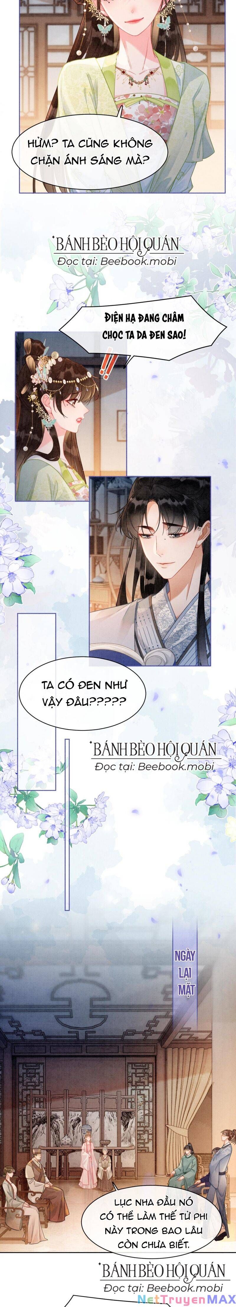 Sau Khi Nàng Bị Đánh Chết, Các Anh Trai Đều Hối Hận! Chapter 5 - Trang 2