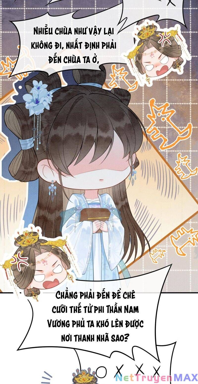 Sau Khi Nàng Bị Đánh Chết, Các Anh Trai Đều Hối Hận! Chapter 7 - Trang 2